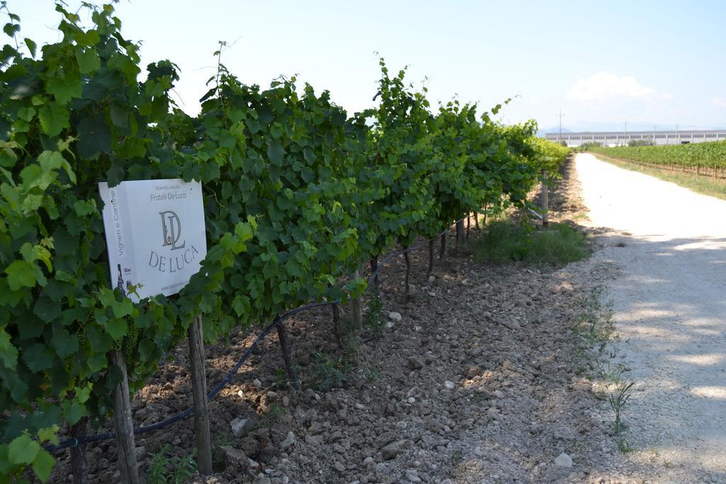 Agriturismo De Luca Mozzagrogna Extérieur photo