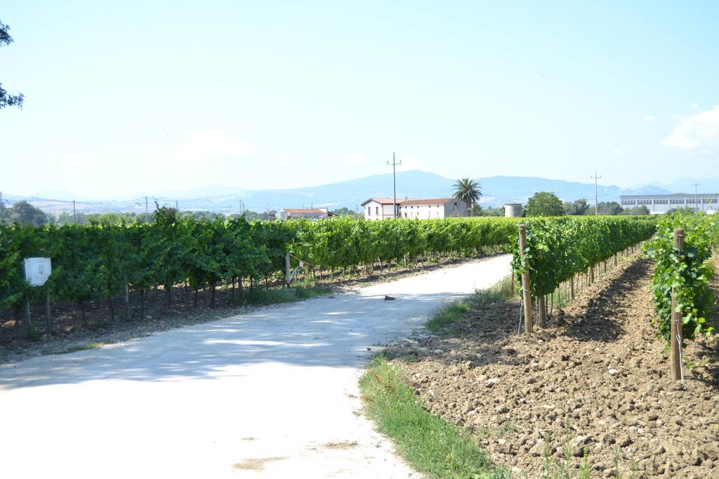 Agriturismo De Luca Mozzagrogna Extérieur photo