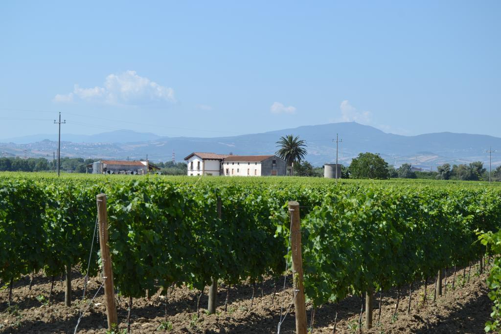 Agriturismo De Luca Mozzagrogna Extérieur photo
